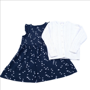 H&M Dress with Butterflies & Jane and Jack Sweater Size 4